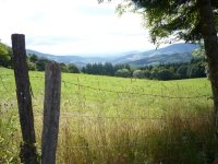 Balade nature avec un guide du pays, massif du st Rigaud Beaujolais ver